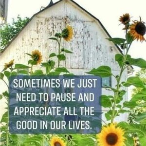 Sunflower Inspirational Wall Art